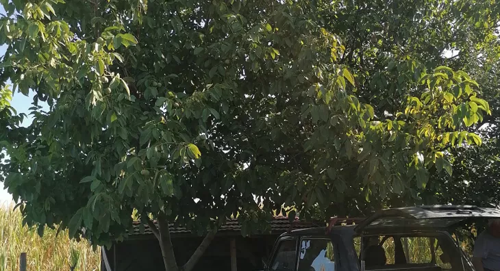 Poljoprivredno zemljište | 4zida