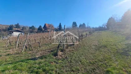 Dunavski venac | 4zida.rs