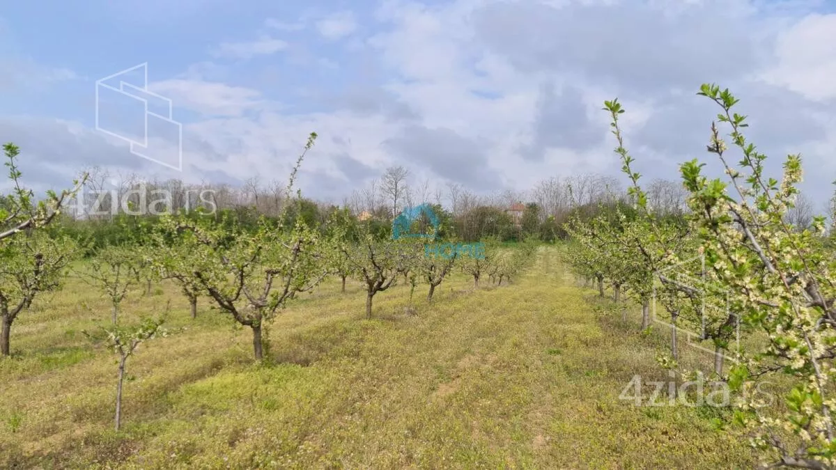 Poljoprivredno zemljište | 4zida