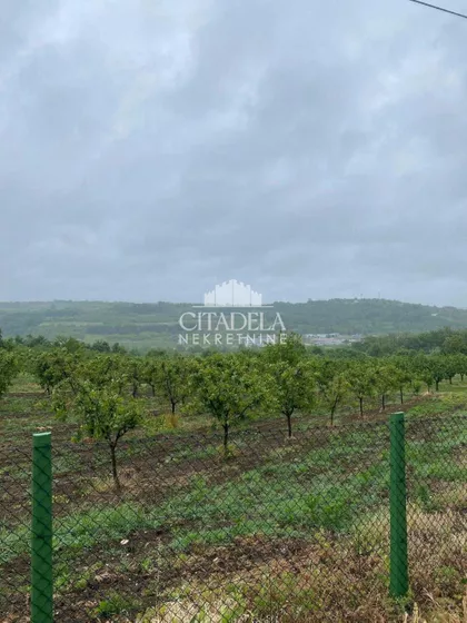 Suvarija | 4zida.rs