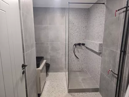 Cara Dušana | 4zida.rs