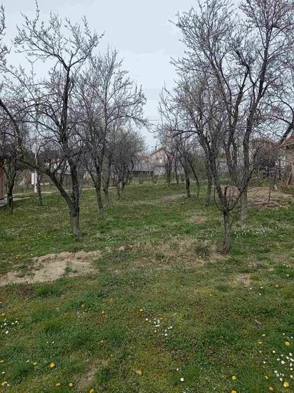 Svetosavska | 4zida.rs