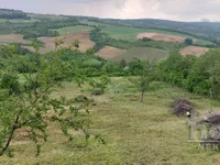 Banstol - Vikend Naselje, Okolne lokacije, Inđija | 4zida.rs
