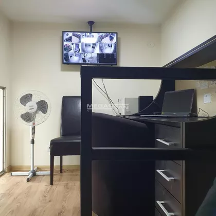 Dalmatinska | 4zida.rs