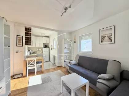 Miljana Miljanića | 4zida.rs