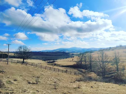 Tometino Polje | 4zida.rs