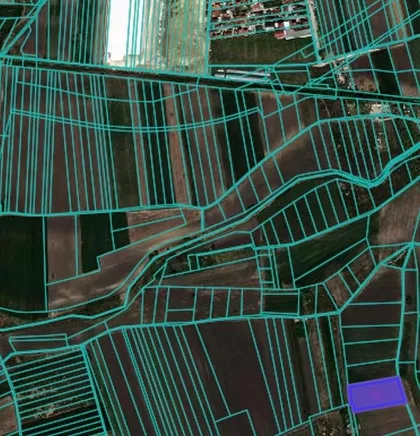 DR IVANA RIBARA | 4zida.rs