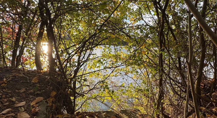 Poljoprivredno zemljište | 4zida