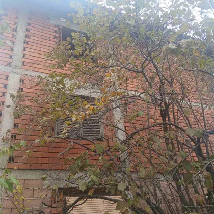 Hajduk Veljkova | 4zida.rs