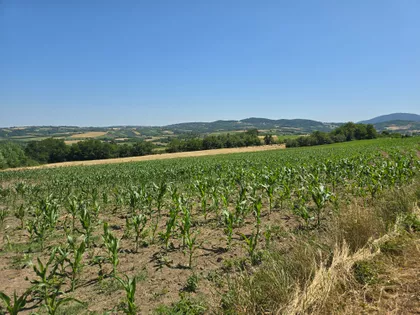 Misača | 4zida.rs