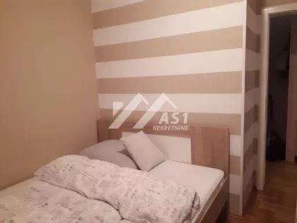Vojvode Šupljikca | 4zida.rs