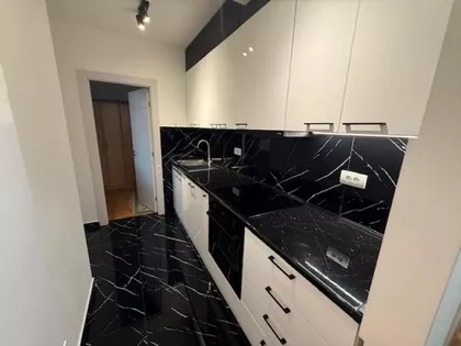 Luja Adamiča | 4zida.rs