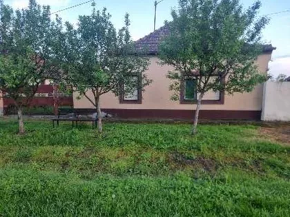 Opština Žitište, Srpski Itebej | 4zida.rs