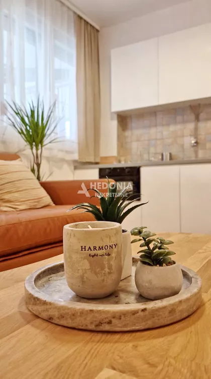 Cvijićeva | 4zida.rs