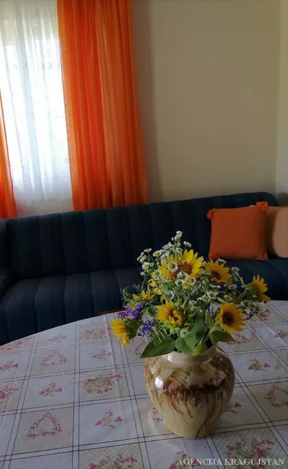 Velike Pčelice | 4zida.rs