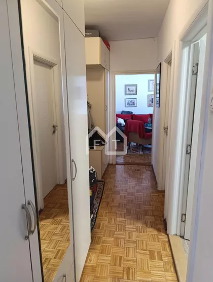 Dr Ivana Ribara | 4zida.rs