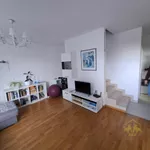 Novi Sad, Gradske lokacije, Petrovaradin | 4zida.rs | 4zida.rs