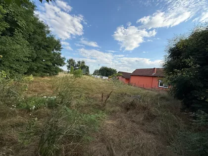 Hajdukovo | 4zida.rs
