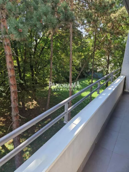 Kronštatska | 4zida.rs