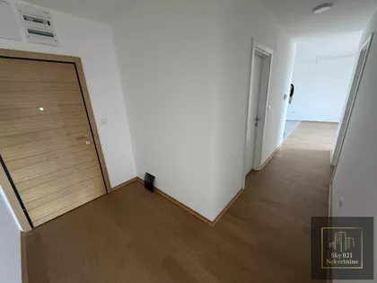 Salajka | 4zida.rs