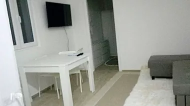 Braće Ribnikar