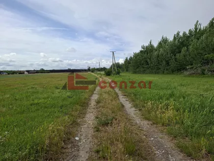 Hajdukovo | 4zida.rs
