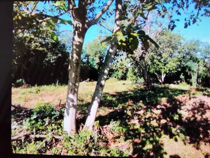 Mišeluk 3 | 4zida.rs