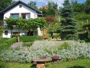 Donja Kamenica