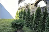 Beograd, Zemun opština, Cara Dušana | 4zida.rs | 4zida.rs