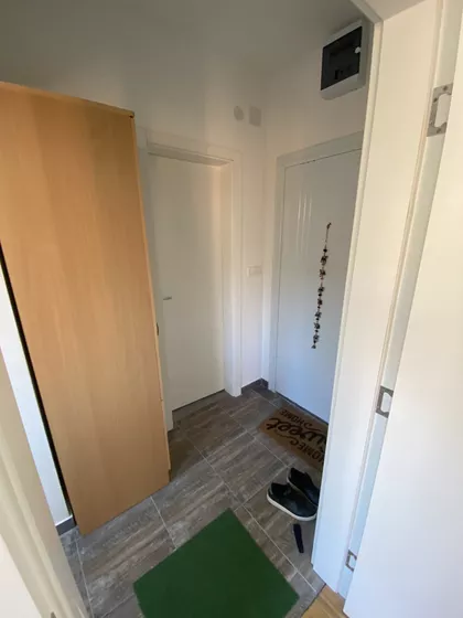 Vase Pelagića | 4zida.rs