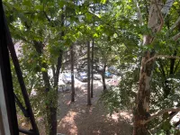 Jagodina, Gradske lokacije, Kajsijar | 4zida.rs | 4zida.rs