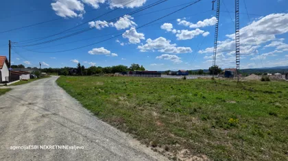 Miodraga Pantića | 4zida.rs
