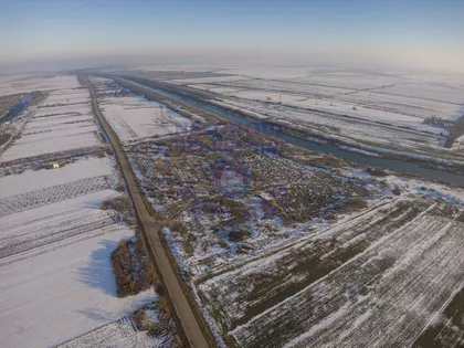 Bašaidski Drum | 4zida.rs