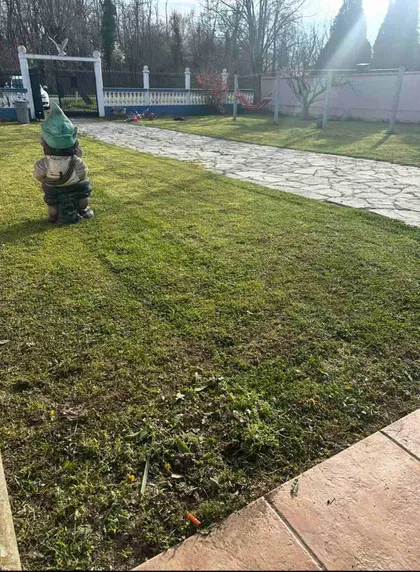 Mesarci  | 4zida.rs