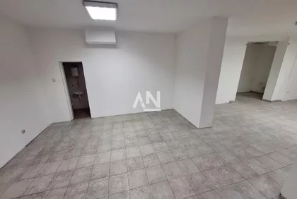 Jovanke Radaković | 4zida.rs
