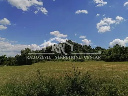 Alekse Žujovića | 4zida.rs