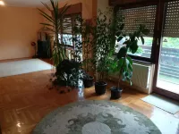 Čalije, Pantelej, Gradske lokacije, Niš | 4zida.rs