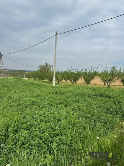 Čerević | 4zida.rs