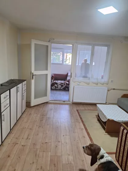 Branka Radičevića | 4zida.rs