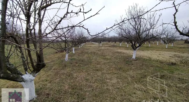 Poljoprivredno zemljište | 4zida