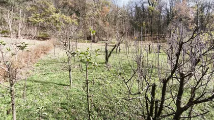 Manastirska | 4zida.rs