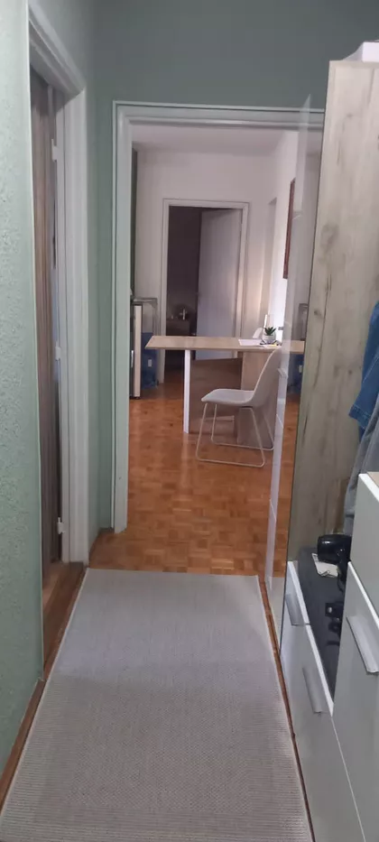 Kolonija | 4zida.rs