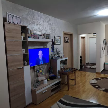 Stepa Stepanović | 4zida.rs