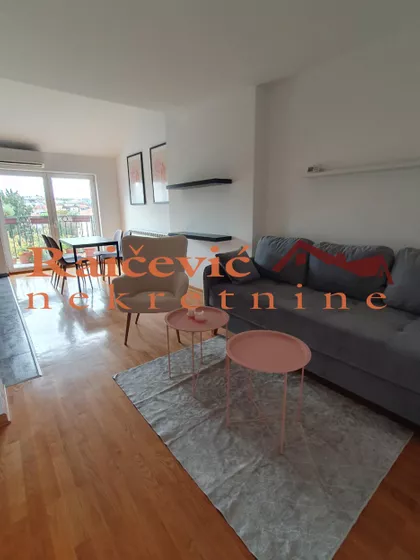 Jelene Cetkovic | 4zida.rs