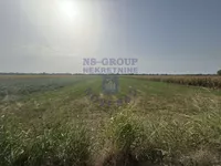 Klisa, Gradske lokacije, Novi Sad | 4zida.rs