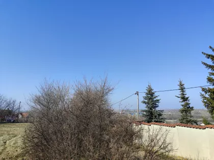 Ostružnica | 4zida.rs