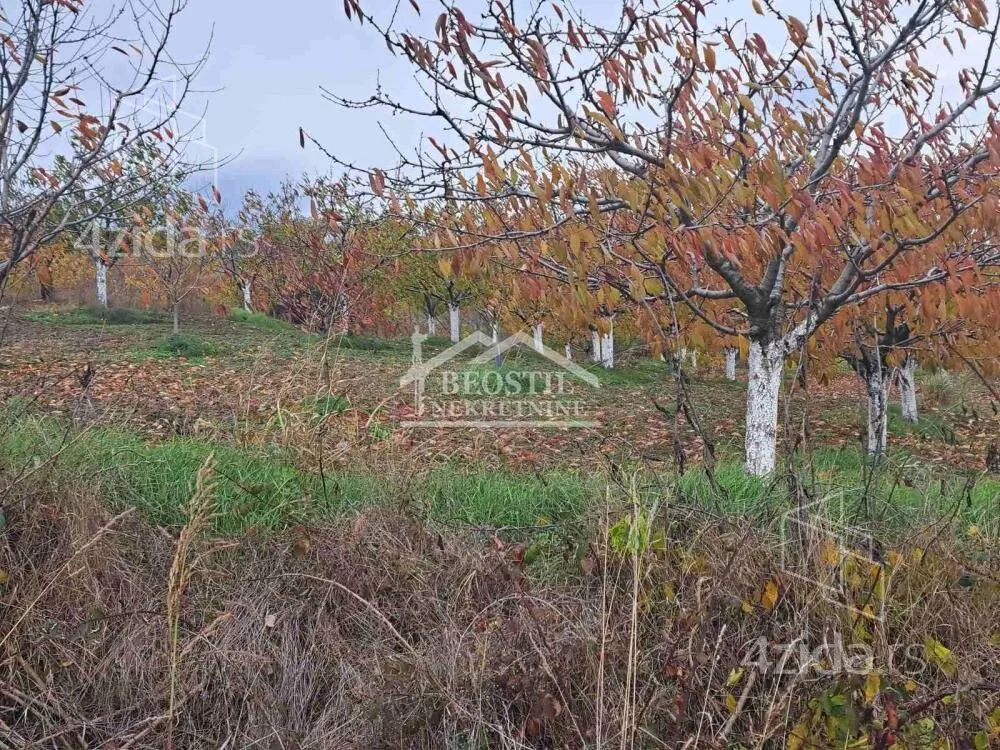 Poljoprivredno zemljište | 4zida