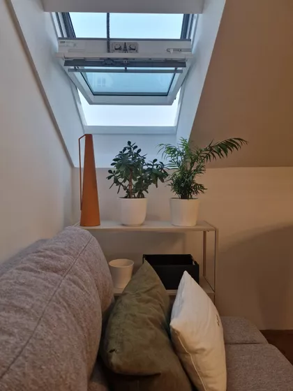 Bulevar Kralja Petra I | 4zida.rs