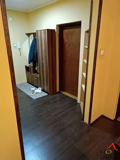 Jugovićevo | 4zida.rs
