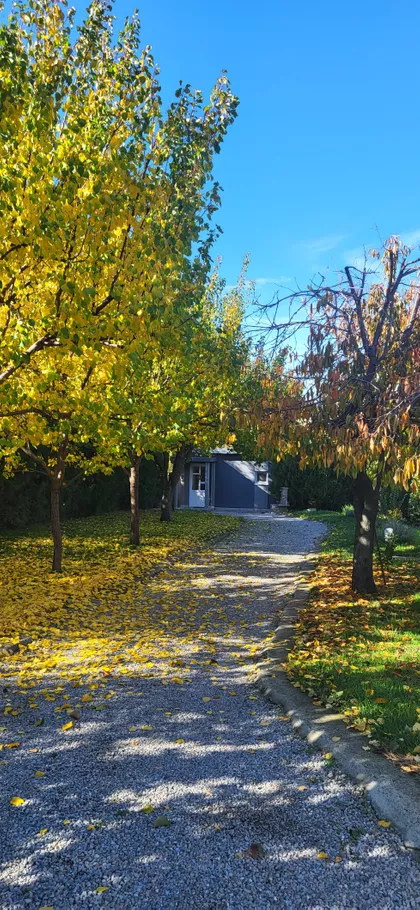 Gradske lokacije | 4zida.rs